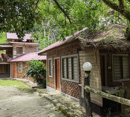 Room 16 outdoor nature view Janda Baik